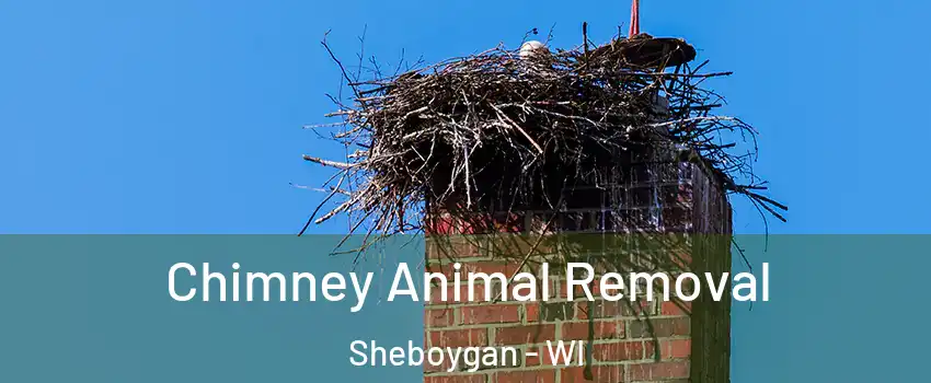 Chimney Animal Removal Sheboygan - WI