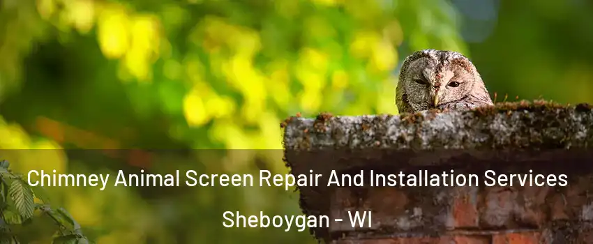  Chimney Animal Screen Repair And Installation Services Sheboygan - WI