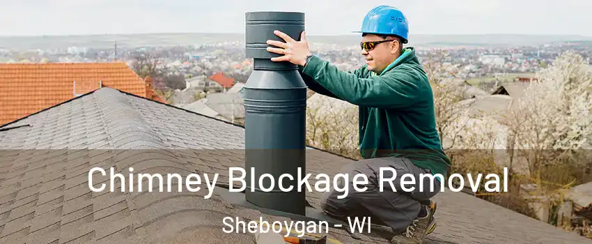  Chimney Blockage Removal Sheboygan - WI