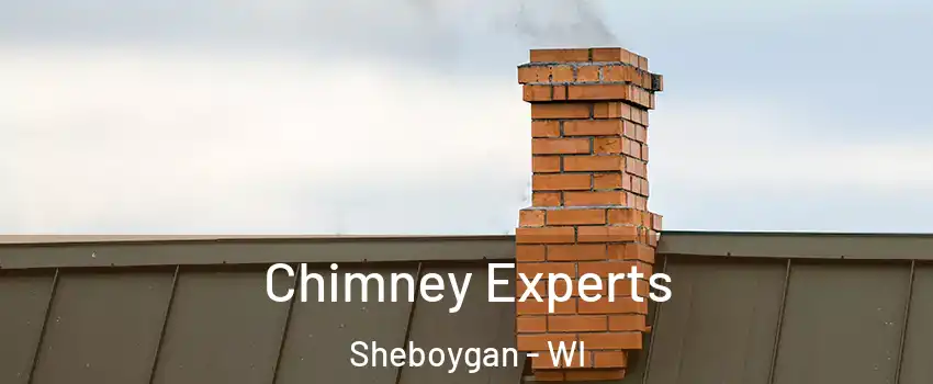 Chimney Experts Sheboygan - WI