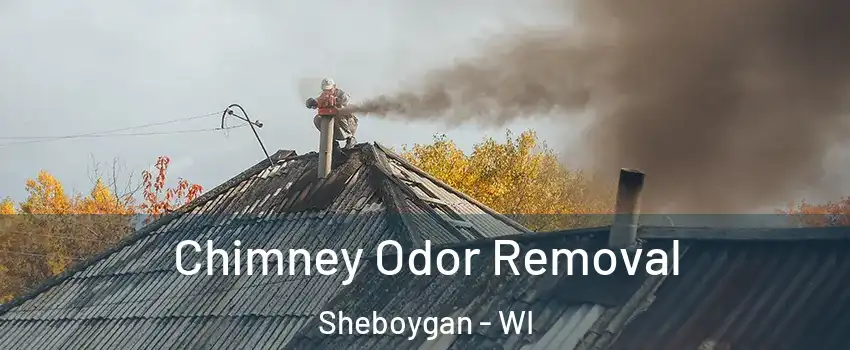  Chimney Odor Removal Sheboygan - WI