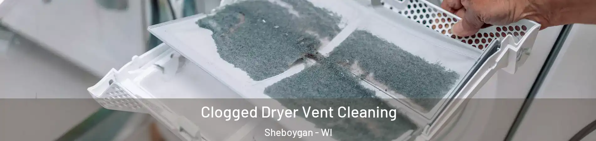  Clogged Dryer Vent Cleaning Sheboygan - WI
