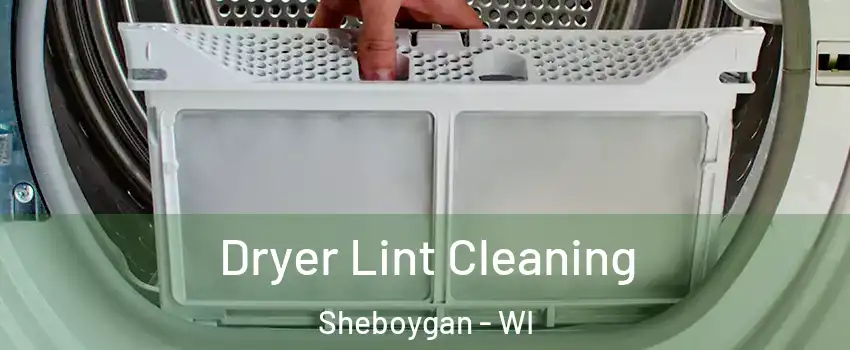  Dryer Lint Cleaning Sheboygan - WI