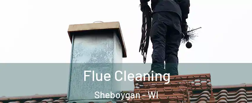  Flue Cleaning Sheboygan - WI