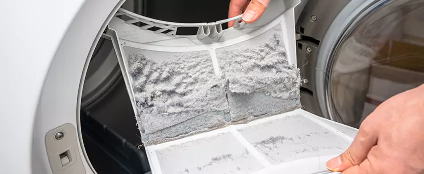 Best Dryer Lint Removal Company in Sheboygan, Wisconsin