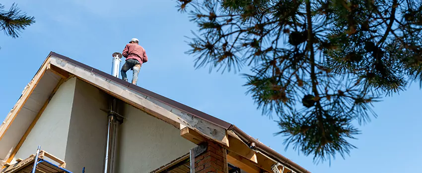Birds Removal Contractors from Chimney in Sheboygan, WI